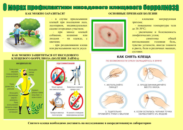 «Горячая линия» по вопросам профилактики клещевого энцефалита «Горячая линия» по вопросам профилактики клещевого энцефалита.